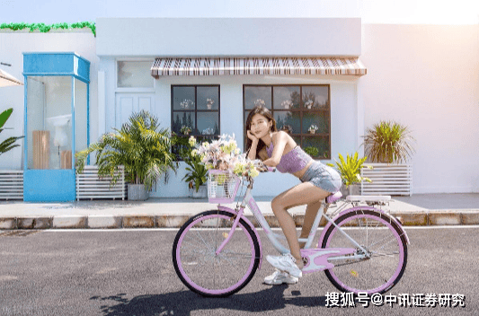 如何在交易中发现与运用市场规律？