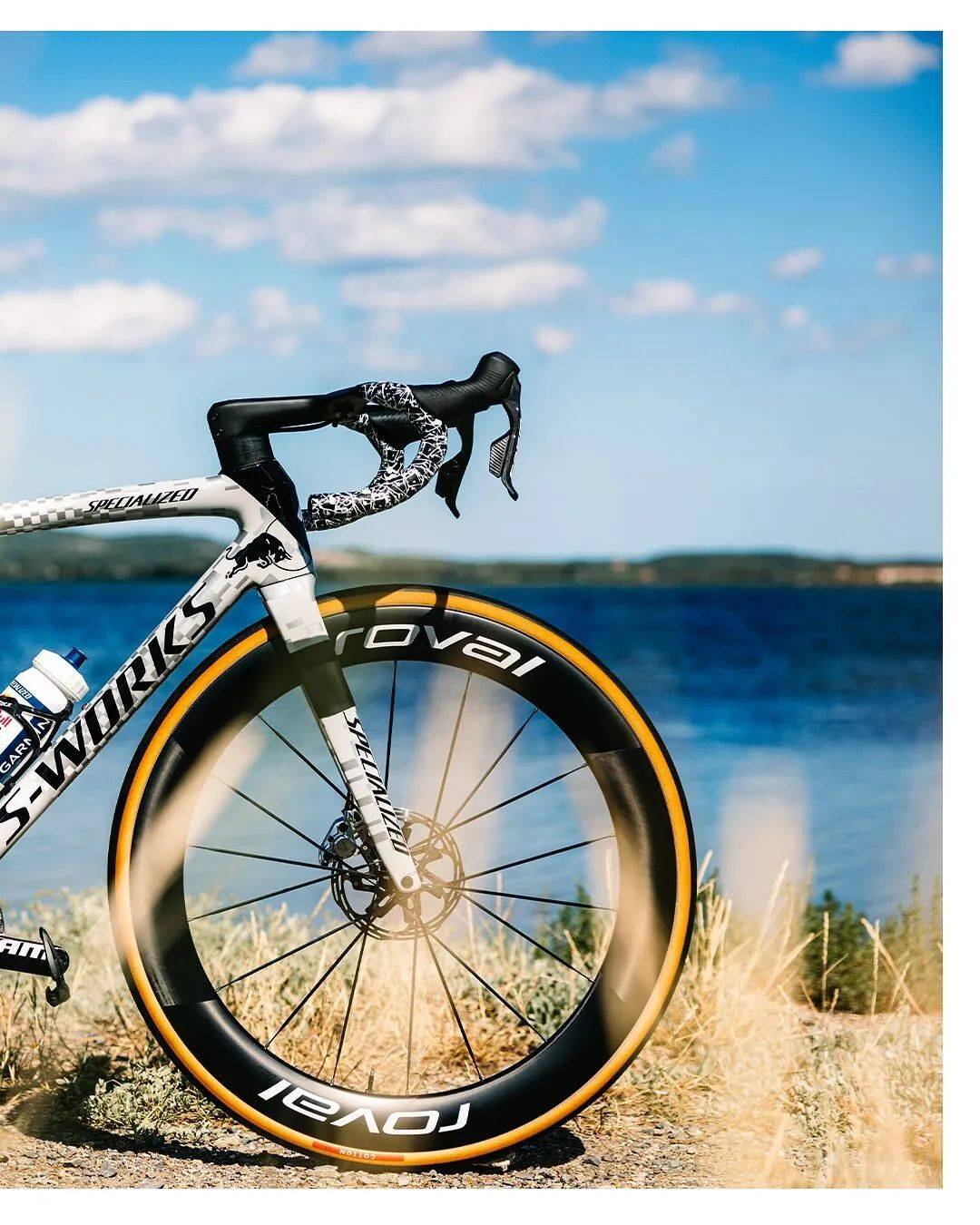 Specialized S-Works Tarmac SL8红牛白衫定制涂装