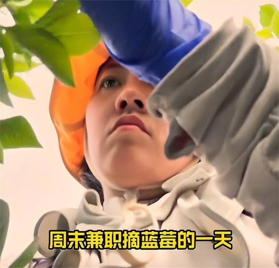 29岁四川女子新西兰打工：每天苹果厂包装9小时，月入三万人民币