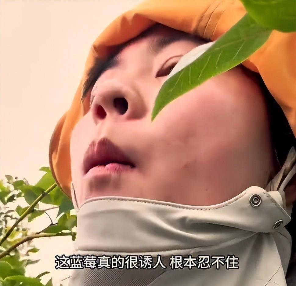 29岁四川女子新西兰打工：每天苹果厂包装9小时，月入三万人民币